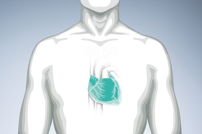 Cardio-Thoracic Surgery