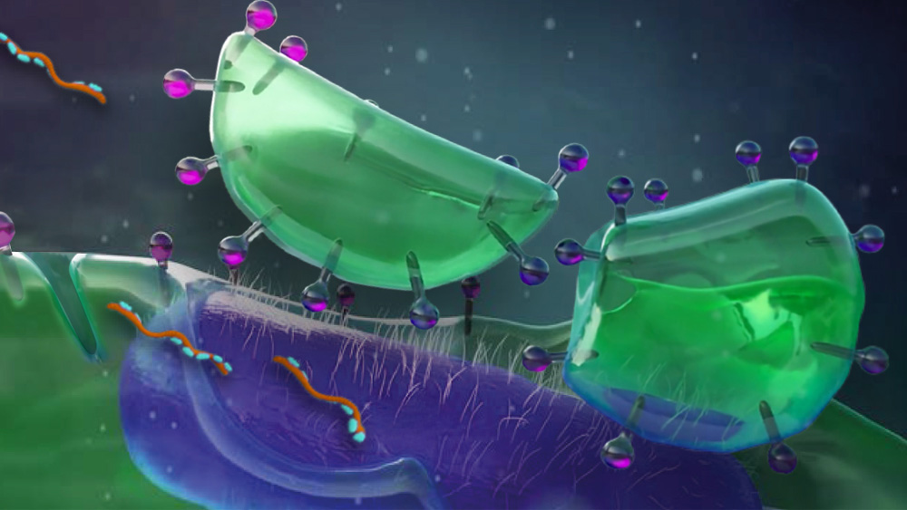 Värikäs tieteellinen kuva, jossa näkyy biofilmiä​